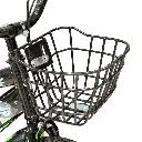 image00009-Photoroom (1).webp