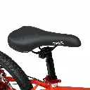 image00056-Photoroom.webp