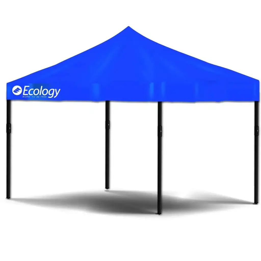 Proyecto nuevo (1).webp