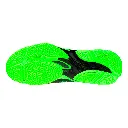 5.webp