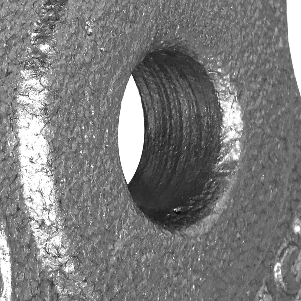 Disco de pesas standard hierro K6 1.25 kg