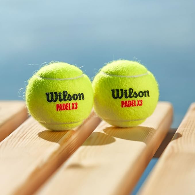 Caja X24 Pelotas de Padel Wilson Tarro 3P