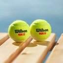 Caja X24 Pelotas de Padel Wilson Tarro 3P