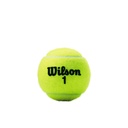 Caja Pelotas de Tenis Wilson Championship Extra Duty 3P X 24T 