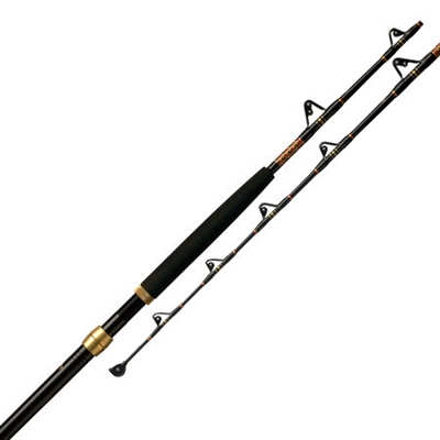 Penn Caña International 6'1" 30Lb Grip Tipo E Guia De Rolineras (5030) 