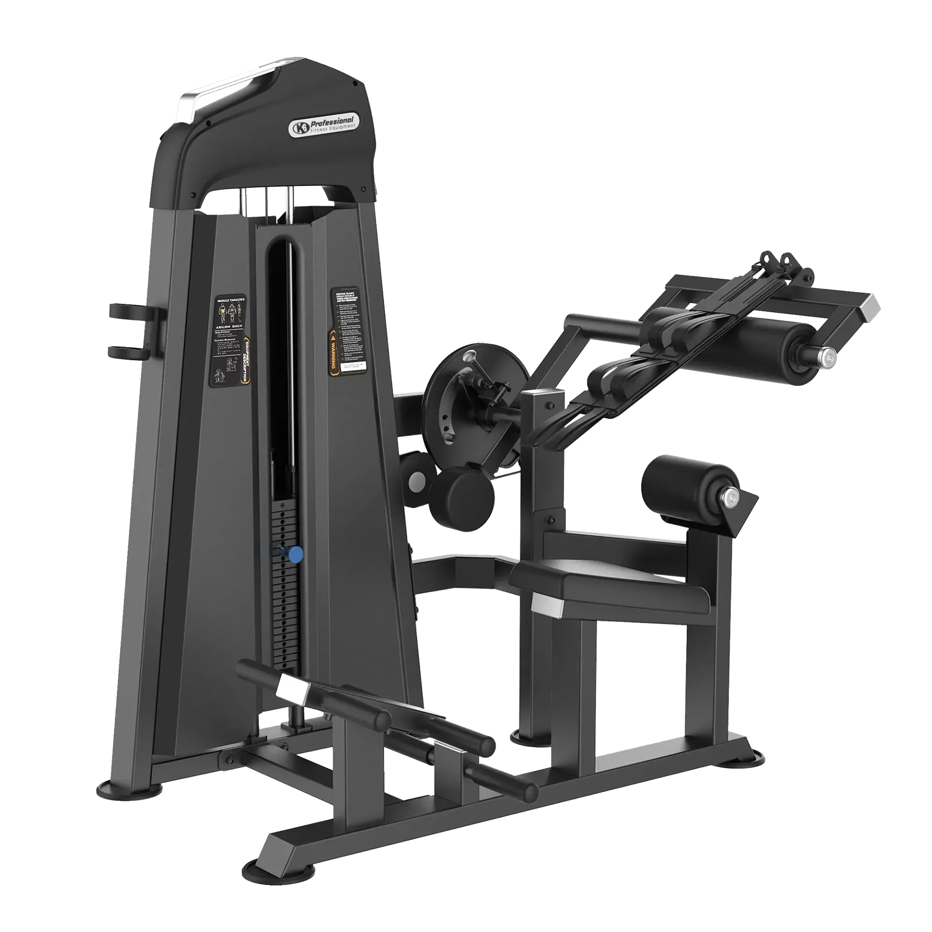 [69650] Extension abdominal y de espalda K6 Professional 110 kg