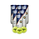 Combo Pelotas de Tenis Wilson Roland Garros 3P X 6T